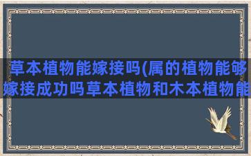 草本植物能嫁接吗(属的植物能够嫁接成功吗草本植物和木本植物能嫁接在一起吗)