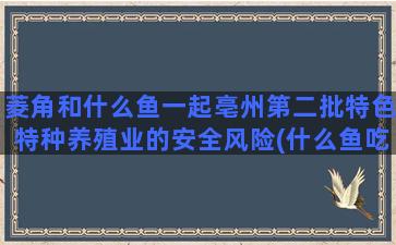 菱角和什么鱼一起亳州第二批特色特种养殖业的安全风险(什么鱼吃菱角)