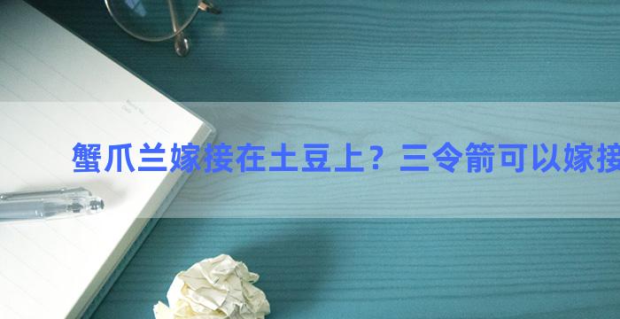 蟹爪兰嫁接在土豆上？三令箭可以嫁接蟹爪兰