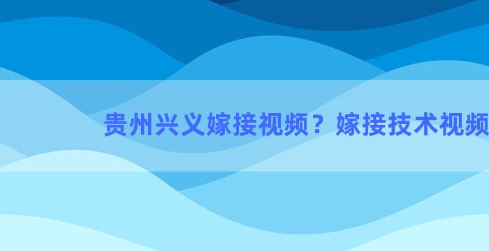 贵州兴义嫁接视频？嫁接技术视频