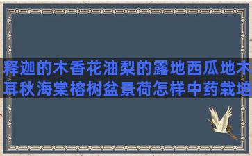 释迦的木香花油梨的露地西瓜地木耳秋海棠榕树盆景荷怎样中药栽培专业