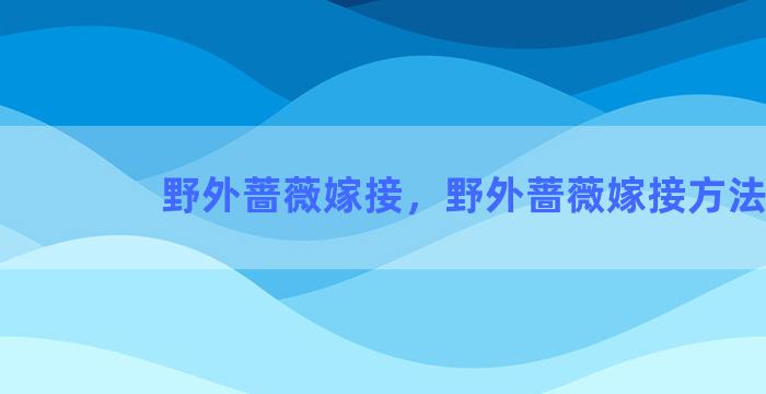 野外蔷薇嫁接，野外蔷薇嫁接方法