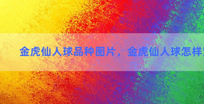 金虎仙人球品种图片，金虎仙人球怎样繁殖仔球