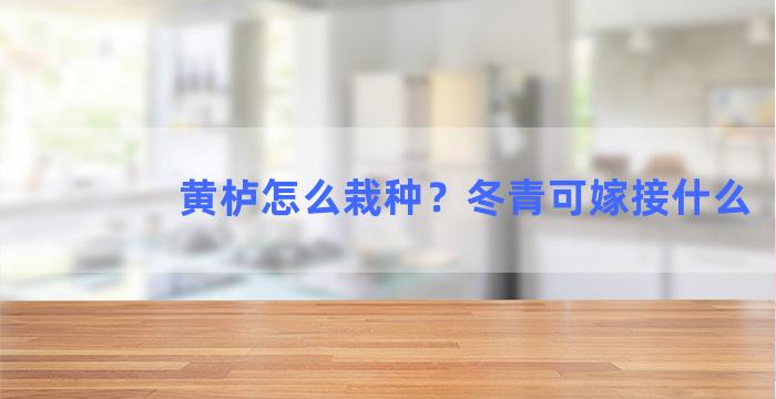 黄栌怎么栽种？冬青可嫁接什么