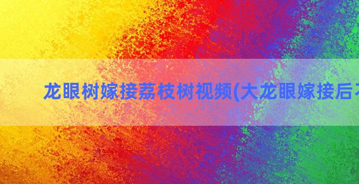 龙眼树嫁接荔枝树视频(大龙眼嫁接后不长果)